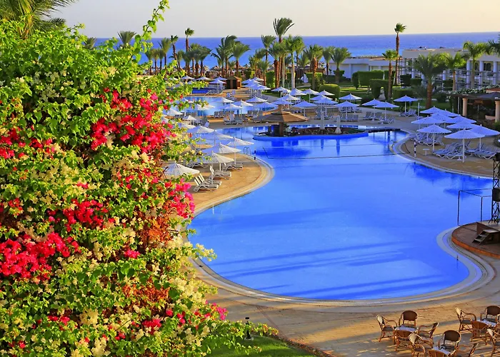 Resort Jaz Royal Palmariva